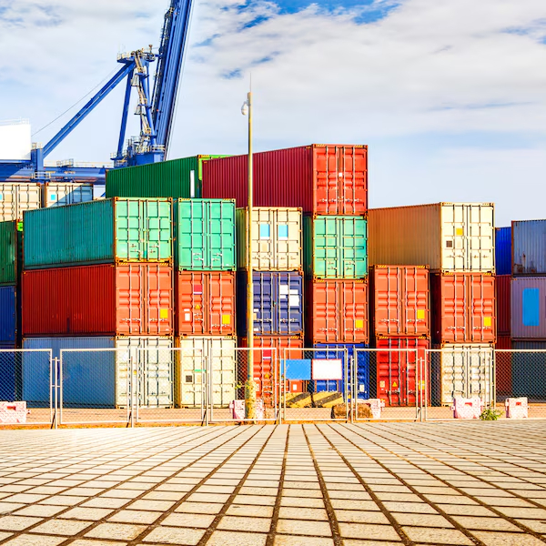 Business services (import and export)